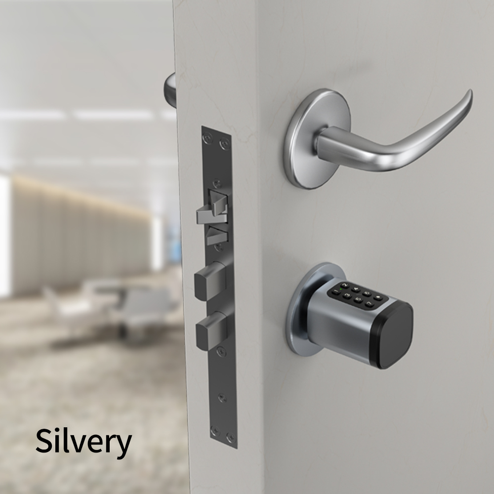 Tuya Smart Mortise Lock IP65 B - Home Security Options avaliação e preço