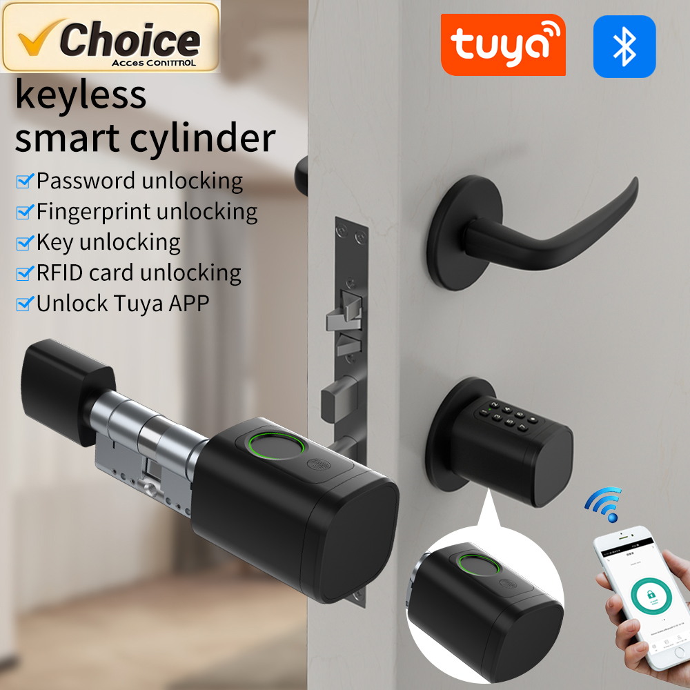 Tuya Smart Mortise Lock IP65 B - Home Security Options avaliação e preço